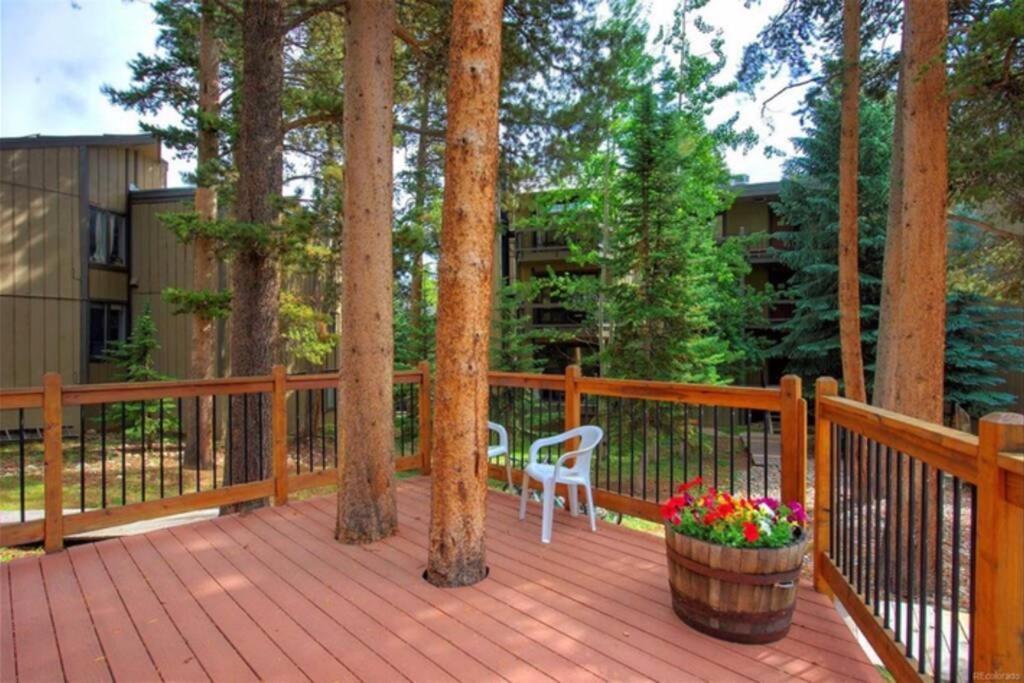 Hot Tub & Sauna Peak 8 Breckenridge Exterior foto